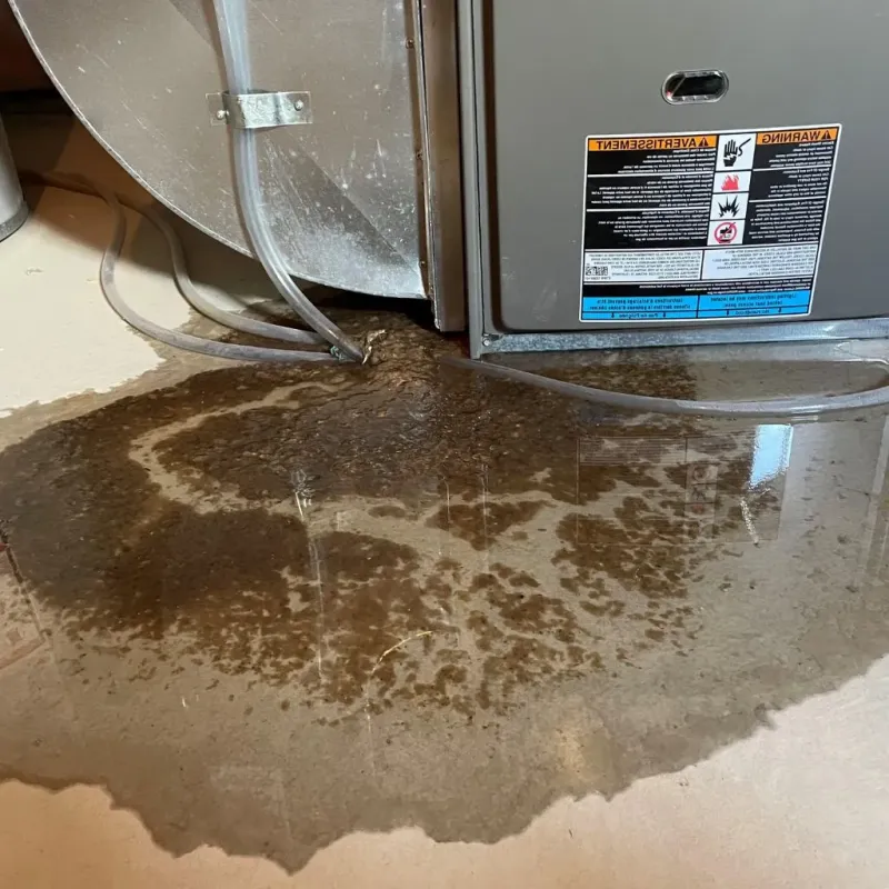 Pipe Burst and Leak Restoration in Preble County, OH
