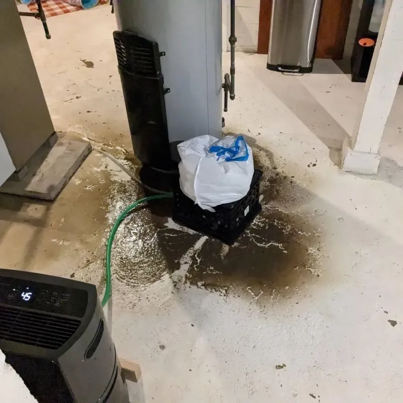Sewage Backup Cleanup Service in Preble County, OH